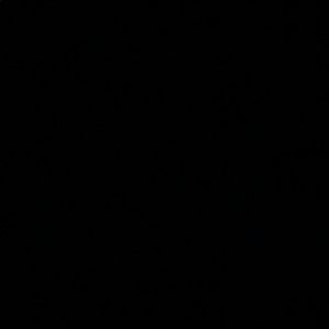 Meet your Posher, Mackenzie